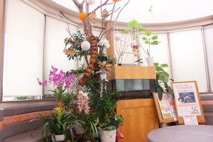 original2_img002